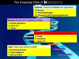 A presentation slide of the Essential DNA of Bioteams: a DNA helix labelled with the four zones — Lead, Connect, Execute and Organise — each listing its three rules.