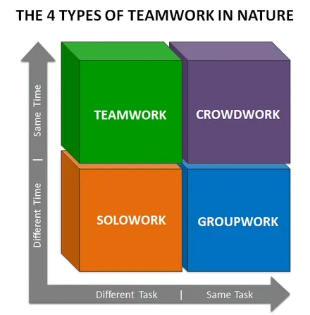 The four types of teamwork in nature, plotted on axes of same or different time against same or different task: teamwork, crowdwork, solowork and groupwork.