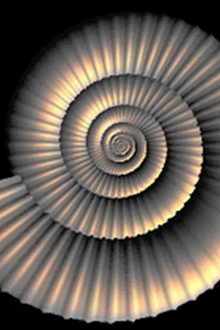 A spiral shell lit from within, its ridged chambers coiling out from a tight centre against a black background.